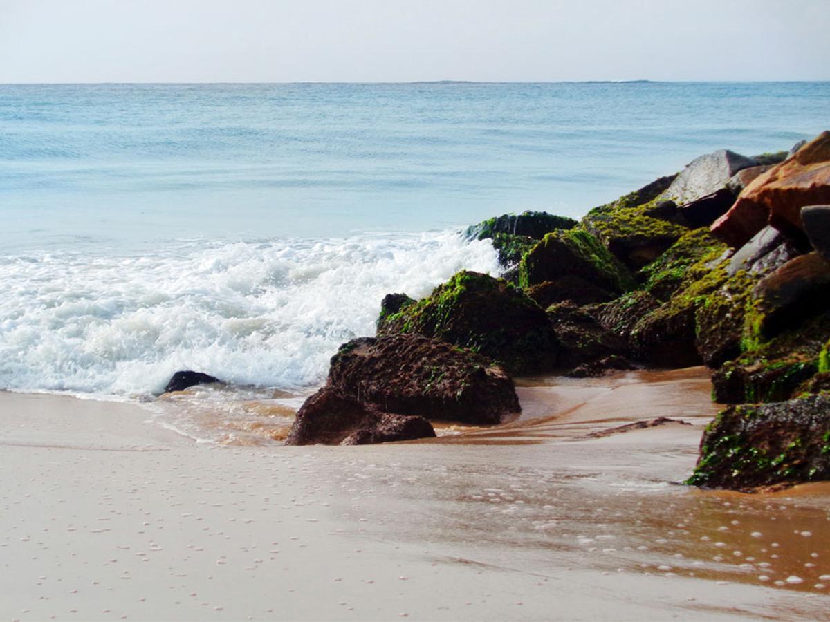 Reggae Zone Beach Resort Tangalle Εξωτερικό φωτογραφία